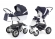 Коляска 2 в 1 Esspero Grand Discovery (шасси Graphite White) Sky Star