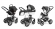 Коляска 3 в 1 Esspero Grand Discovery (шасси Grey) Nappa Graphite