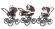Коляска 3 в 1 Esspero Classic (шасси Graphite) Chek