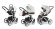 Коляска 3 в 1 Esspero Grand Magic Pro (шасси White) Canella leatherette