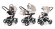 Коляска 3 в 1 Esspero Newborn Lux (шасси Beige) Khakki Lux