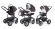 Коляска 3 в 1 Esspero Discovery (шасси Graphite) Grey Leves
