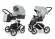 Коляска 2 в 1 Esspero Magic Pro Alu (шасси Chrome) Silver