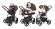 Коляска 3 в 1 Esspero Newborn Lux (шасси Graphite) Chek