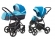 Коляска 2 в 1 Esspero Grand Newborn Lux (шасси Graphite) Breeze