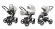 Коляска 3 в 1 Esspero Grand Newborn Lux (шасси White) Vanila