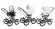 Коляска 3 в 1 Esspero Grand Classic (шасси Graphite) Nappa White