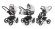Коляска 3 в 1 Esspero Tour (шасси White) Light Chek