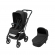 Essential Black