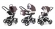 Коляска 3 в 1 Esspero Newborn Lux (шасси White) Brown Lux