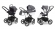 Коляска 3 в 1 Esspero Grand Magic Pro (шасси Black) Diamond