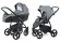 Коляска 2 в 1 Esspero Newborn Lux Alu (шасси Black) Asphalt