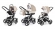 Коляска 3 в 1 Esspero Newborn Lux (шасси Grey) Khakki Lux