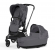 Коляска 2 в 1 Cybex Priam IV (шасси Matt Black) Simply Flowers Dream Grey