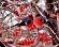 Картина по номерам ТМ Цветной 40х50 на подрамнике, арт. GX GX8859 Снегири на веточке рябины