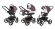 Коляска 3 в 1 Esspero Tour (шасси Black) Brown Lux