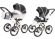 Коляска 2 в 1 Esspero Grand Classic (шасси Beige) Royal Grey