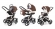 Коляска 3 в 1 Esspero Newborn Lux (шасси Beige) Chek