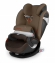 Cybex Pallas M-Fix Coffee Bean