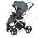 Прогулочная коляска Esspero Newborn Lux Alu (шасси Beige) Onyx