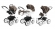 Коляска 3 в 1 Esspero Grand Tour Royal Brown