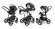 Коляска 3 в 1 Esspero Grand Magic (шасси Black) Nappa Graphite