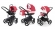 Коляска 3 в 1 Esspero Magic (шасси Black) Red Lux