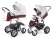 Коляска 2 в 1 Esspero Grand Discovery (шасси Graphite White) Maroon leatherette