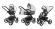 Коляска 3 в 1 Esspero Tour (шасси Black) Light Chek