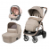 Коляска 3 в 1 Peg Perego Veloce Lounge Modular Mon Amour