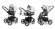 Коляска 3 в 1 Esspero Magic Pro (шасси Graphite) Light Chek