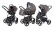 Коляска 3 в 1 Esspero Newborn Lux (шасси Graphite) Carbon