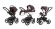 Коляска 3 в 1 Esspero Grand Tour (шасси Graphite) Nappa Brown