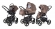 Коляска 3 в 1 Esspero Newborn Lux (шасси Graphite) Coffee