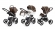 Коляска 3 в 1 Esspero Grand I-Nova (шасси Chrome) Royal Brown