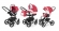 Коляска 3 в 1 Esspero Tour (шасси White) Red Lux