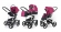 Коляска 3 в 1 Esspero Newborn Lux Alu (шасси Grey) Camellia