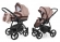 Коляска 2 в 1 Esspero Newborn Lux (шасси Black) Luna