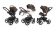 Коляска 3 в 1 Esspero Grand Tour (шасси Graphite) Royal Brown