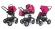 Коляска 3 в 1 Esspero Discovery Alu (шасси Graphite) Camellia