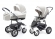 Коляска 2 в 1 Esspero Grand Discovery (шасси Graphite White) Vanila