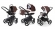 Коляска 3 в 1 Esspero Magic (шасси Black) Chocco