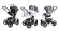 Коляска 3 в 1 Esspero Grand Newborn Lux (шасси Beige) Royal Silver