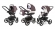 Коляска 3 в 1 Esspero Tour (шасси Graphite) Brown Lux