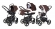 Коляска 3 в 1 Esspero Newborn Lux (шасси Graphite) Chocco