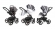 Коляска 3 в 1 Esspero Grand Tour (шасси Graphite) Royal Silver