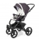 Прогулочная коляска Esspero Tour (шасси Graphite) Grey Leves