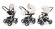 Коляска 3 в 1 Esspero Newborn Lux (шасси Grey) Cream