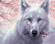 Картина по номерам ТМ Цветной 40х50 на подрамнике, арт. GX GX29952 Белый волк