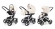 Коляска 3 в 1 Esspero Newborn Lux (шасси White) Cream